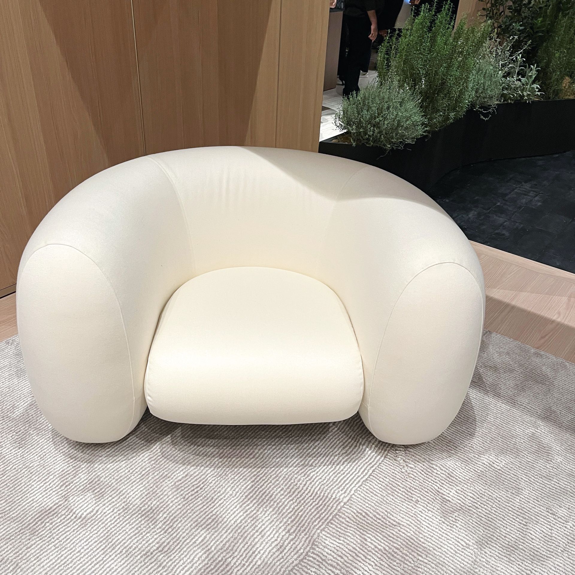 Nouveau fauteuil MOLTENI