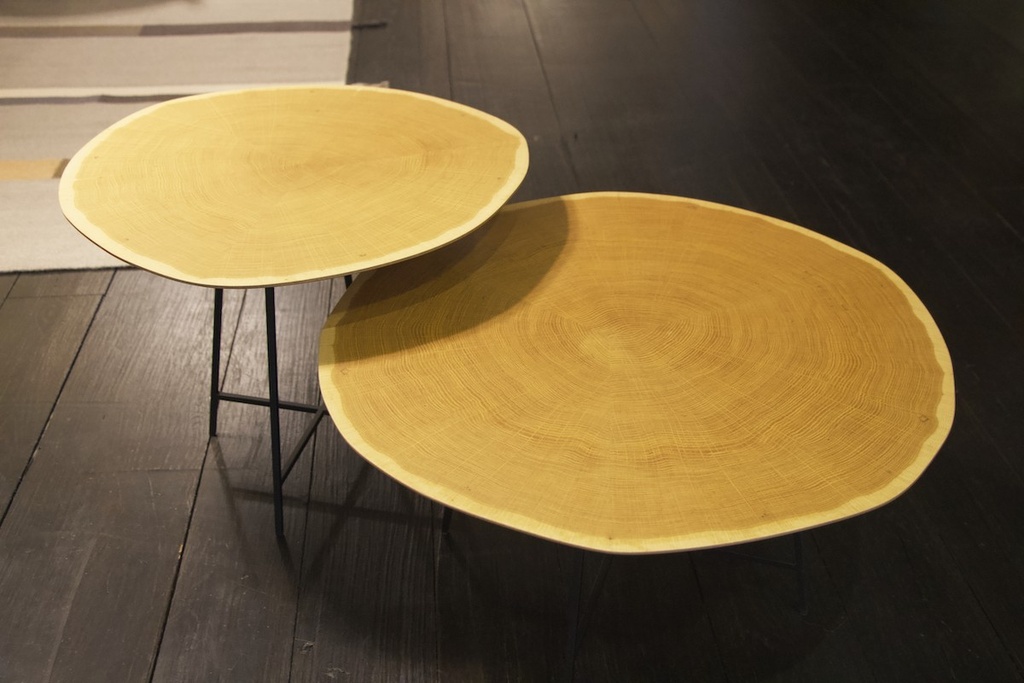 [ligne roset-alburni basse-expo] Alburni basse