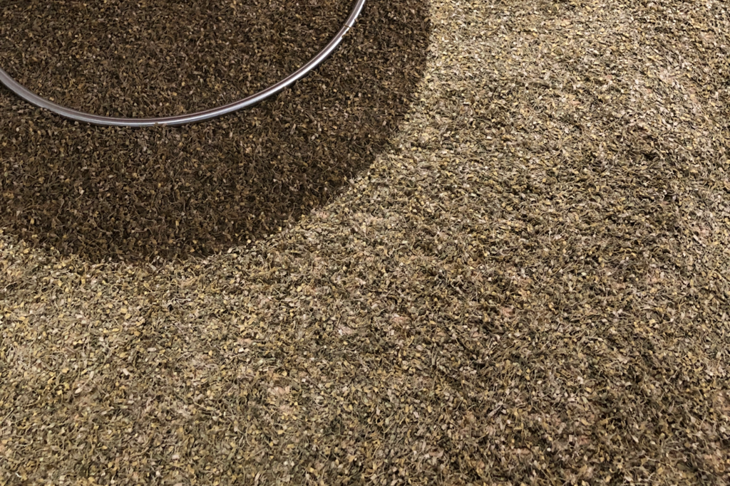 [toulemondebochart-flag-expo] Flag