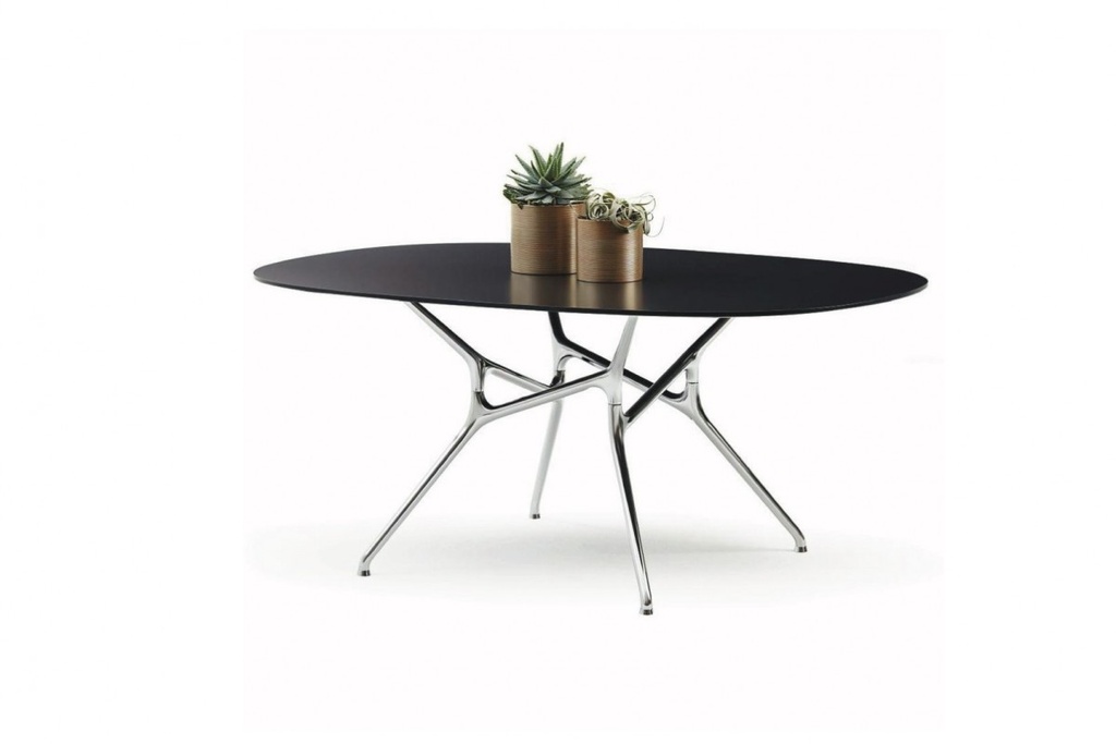 [Cappellini - Branch - Collection] BRANCH