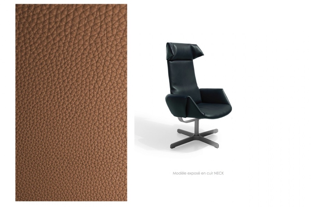 [desede-ds 343-expo] DS - 343