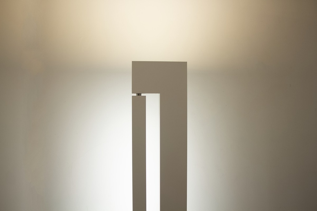 [nemo-ara mk3-expo] Ara MK3