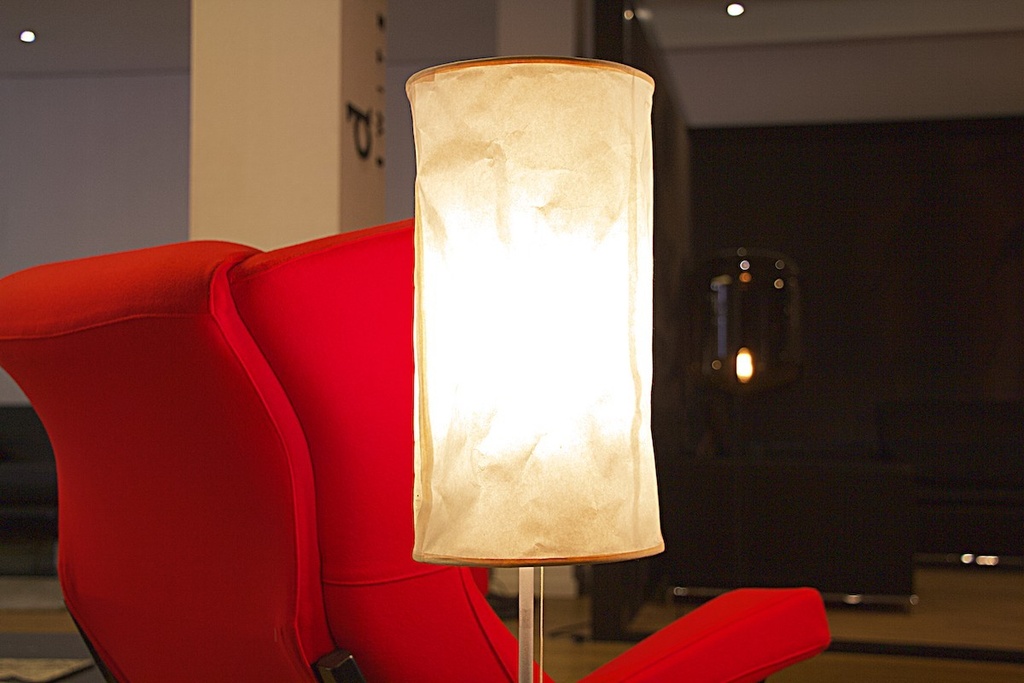 [groppi-baloo terra 1-expo] Baloo Terra 1